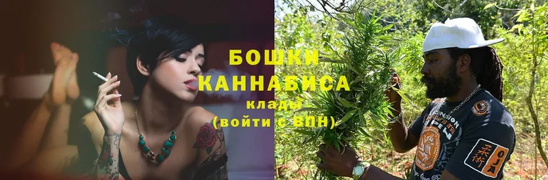 Бошки марихуана OG Kush  где найти наркотики  Курчатов 